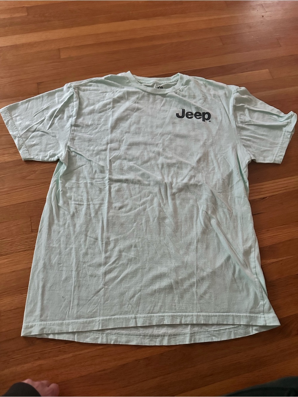 Jeep Men's Mint Green Short Sleeve Logo Tee